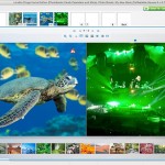 If you choose to select a photo as your background, the software automatically crops it to square for you. (See that warning icon in the turtle photo? That’s the software telling me the image isn’t large enough and may not print well as a result. Just more user-friendliness from the Photolab software!)