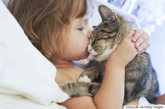 Your cat obsession is actually good for your health.