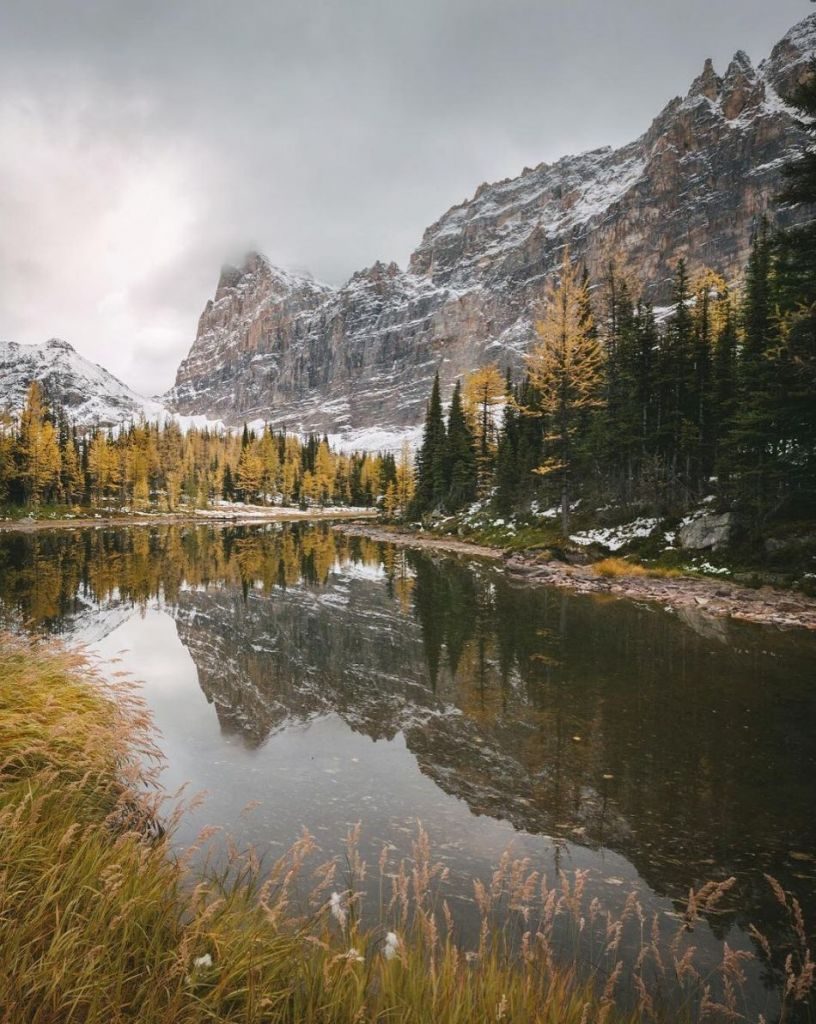 10 Places to See Fall Colours in Beautiful Canada - London Drugs Blog