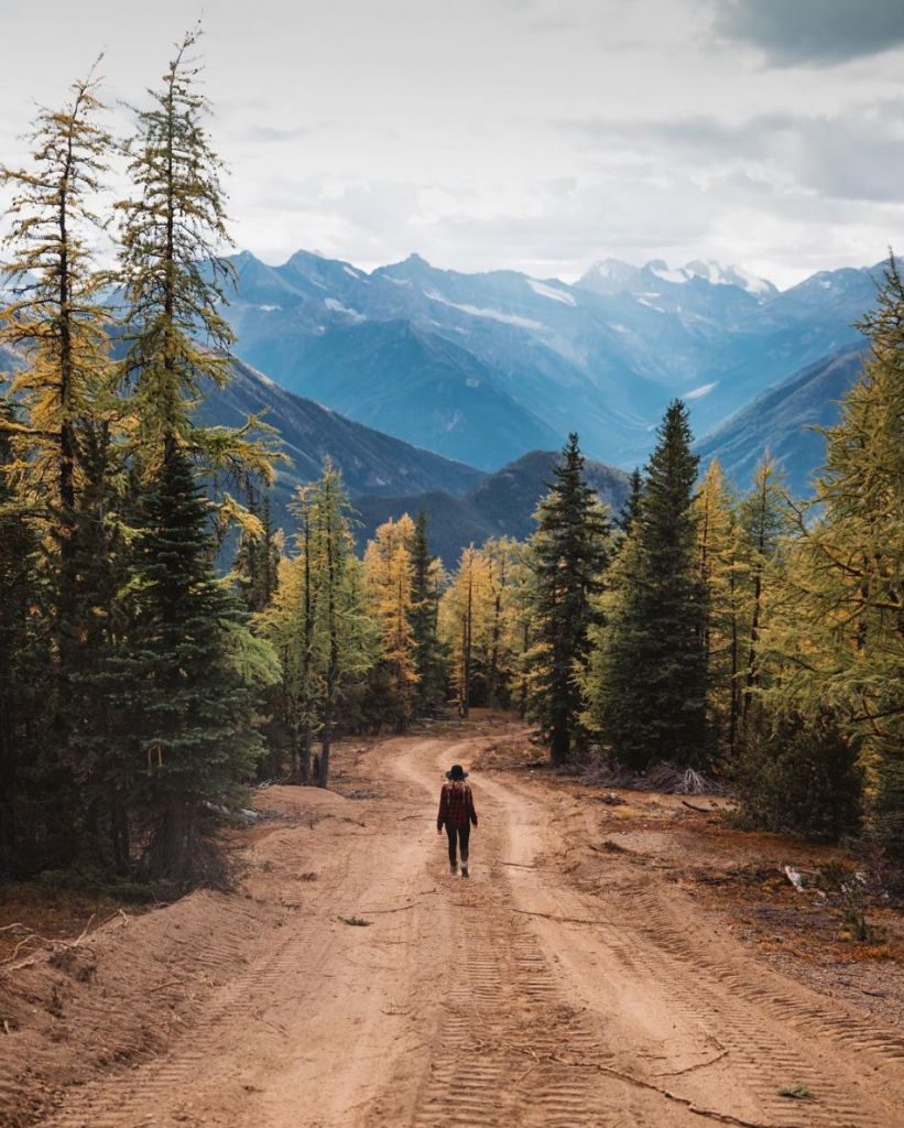 10 Places to See Fall Colours in Beautiful Canada - London Drugs Blog
