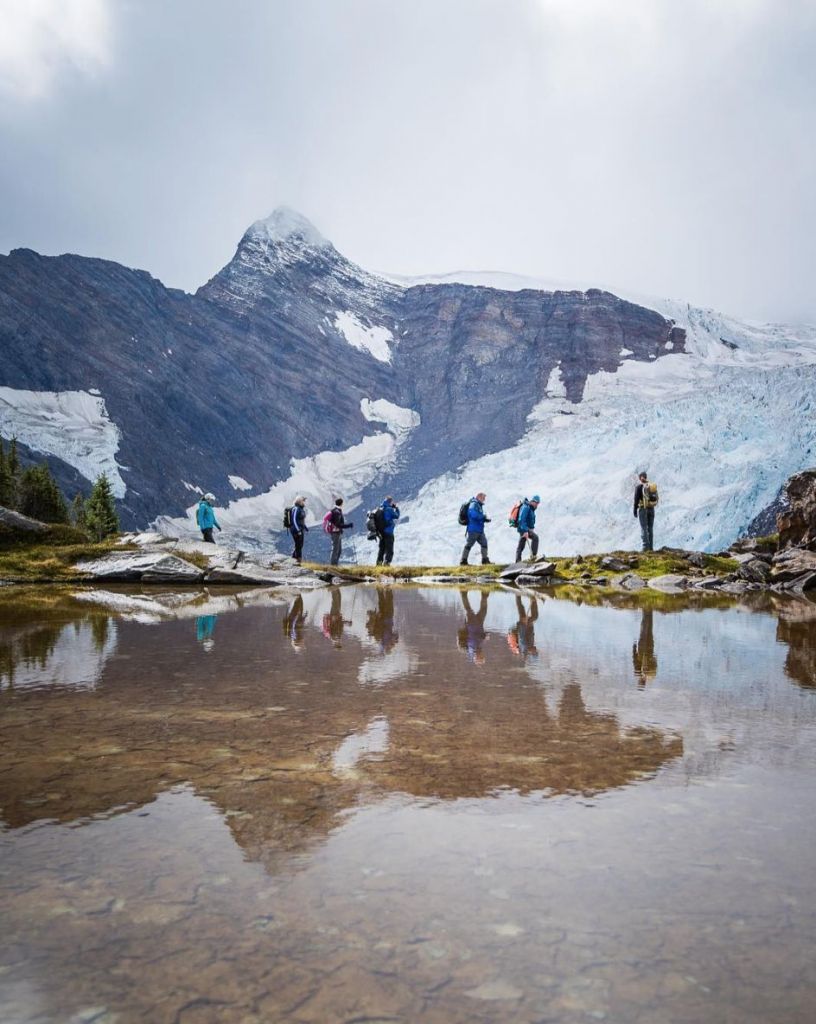 Ode to Ice London Drugs Beautiful Canada