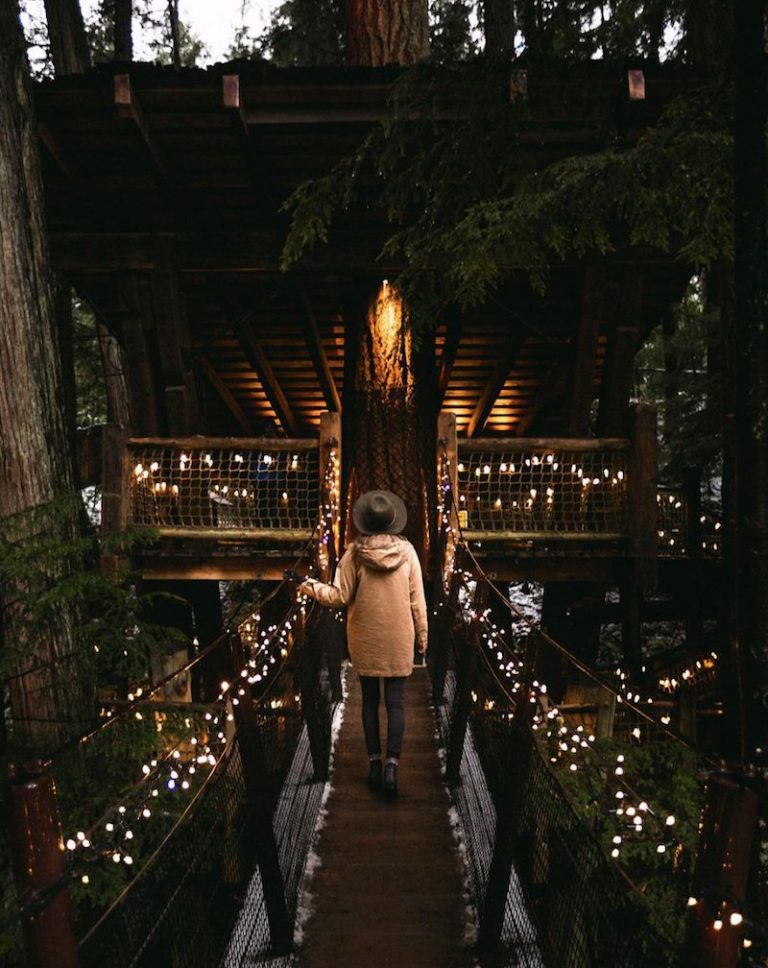 8 Places to See Beautiful Christmas Lights in Canada London Drugs Blog