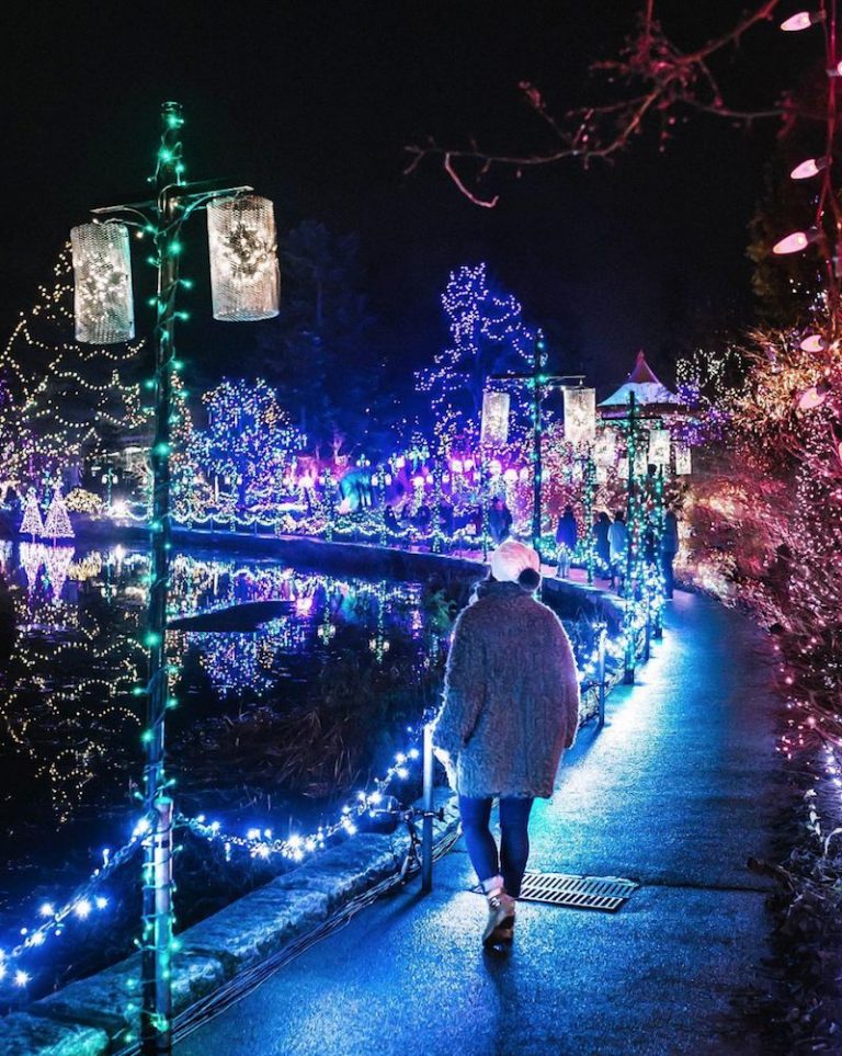 8 Places to See Beautiful Christmas Lights in Canada London Drugs Blog