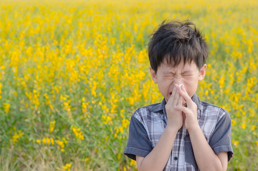 Boy Allergies Pollen Natural Remedy London Drugs Blog