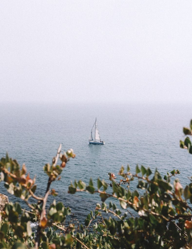 Sailing End of Summer Sailboat London Drugs