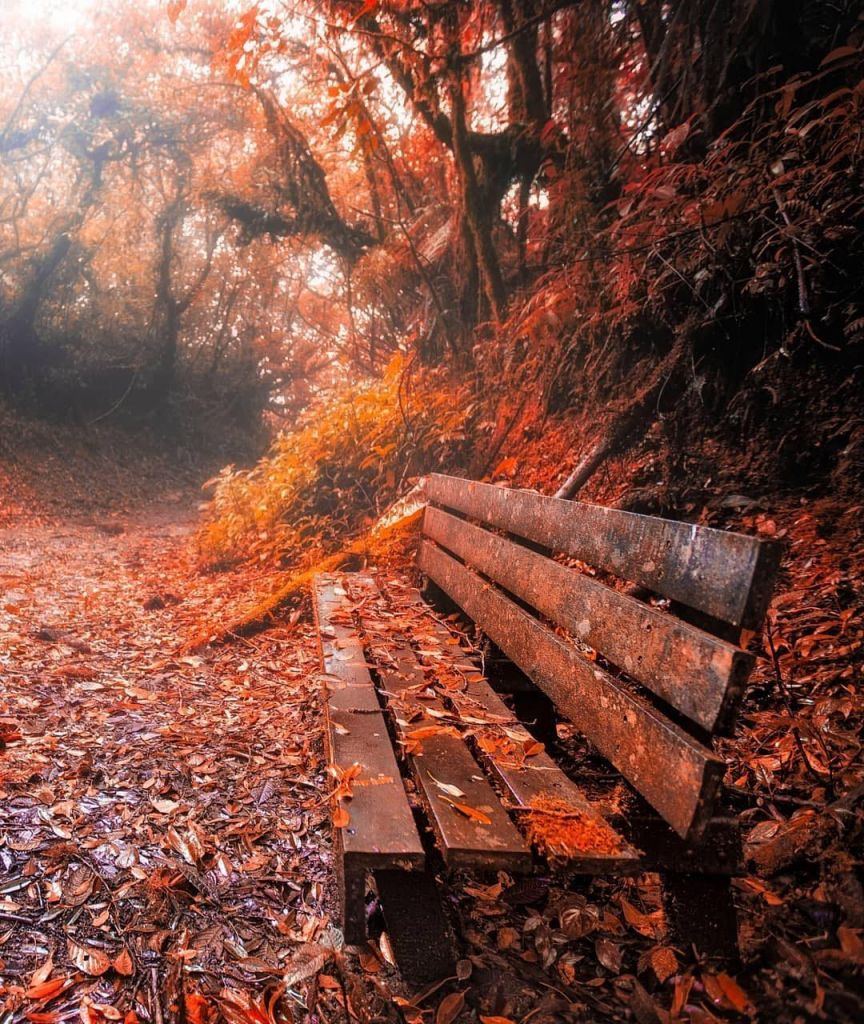 Hamilton, Ontario - Beautiful Canada: 10 Stunning Places To Enjoy Fall Leaves