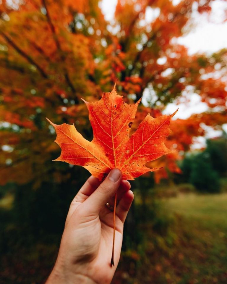 Beautiful Canada: 10 Stunning Places to Enjoy Fall Leaves - London ...