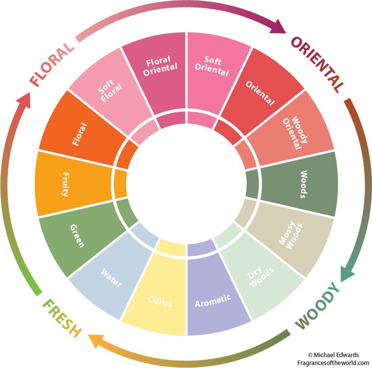 Fragrance Wheel London Drugs Beauty