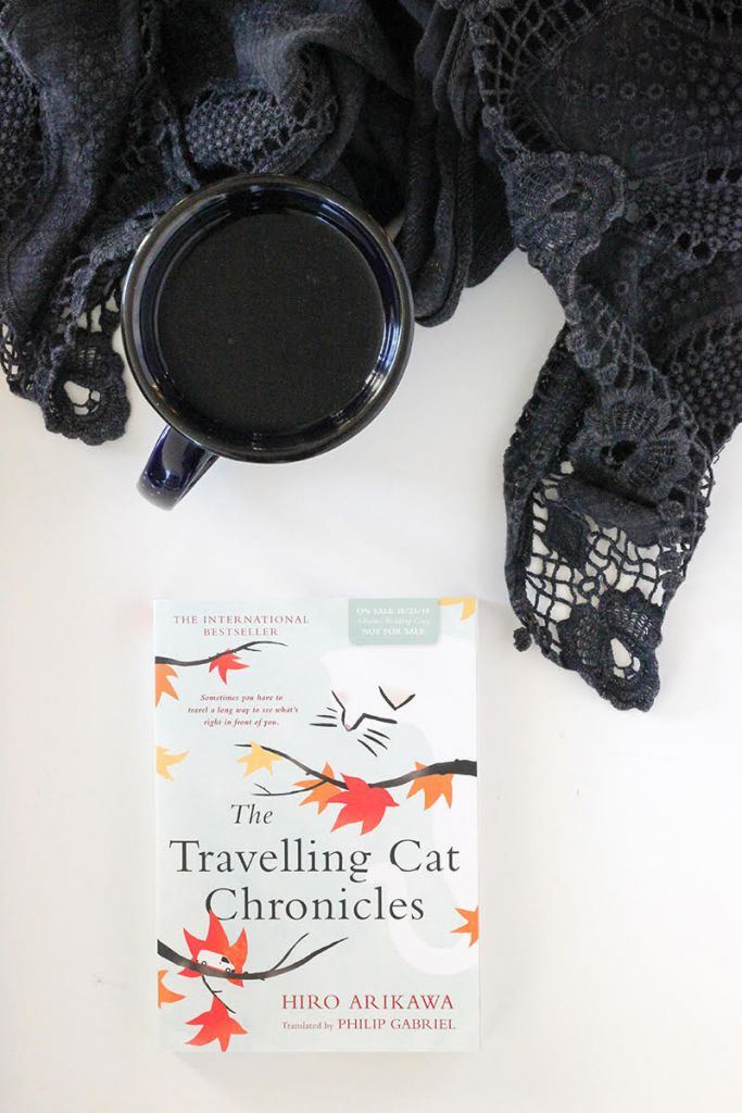 November Book of the Month - The Travelling Cat Chronicles