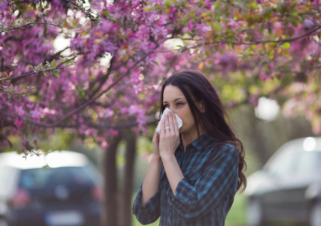 Tips for Surviving Allergy Season 