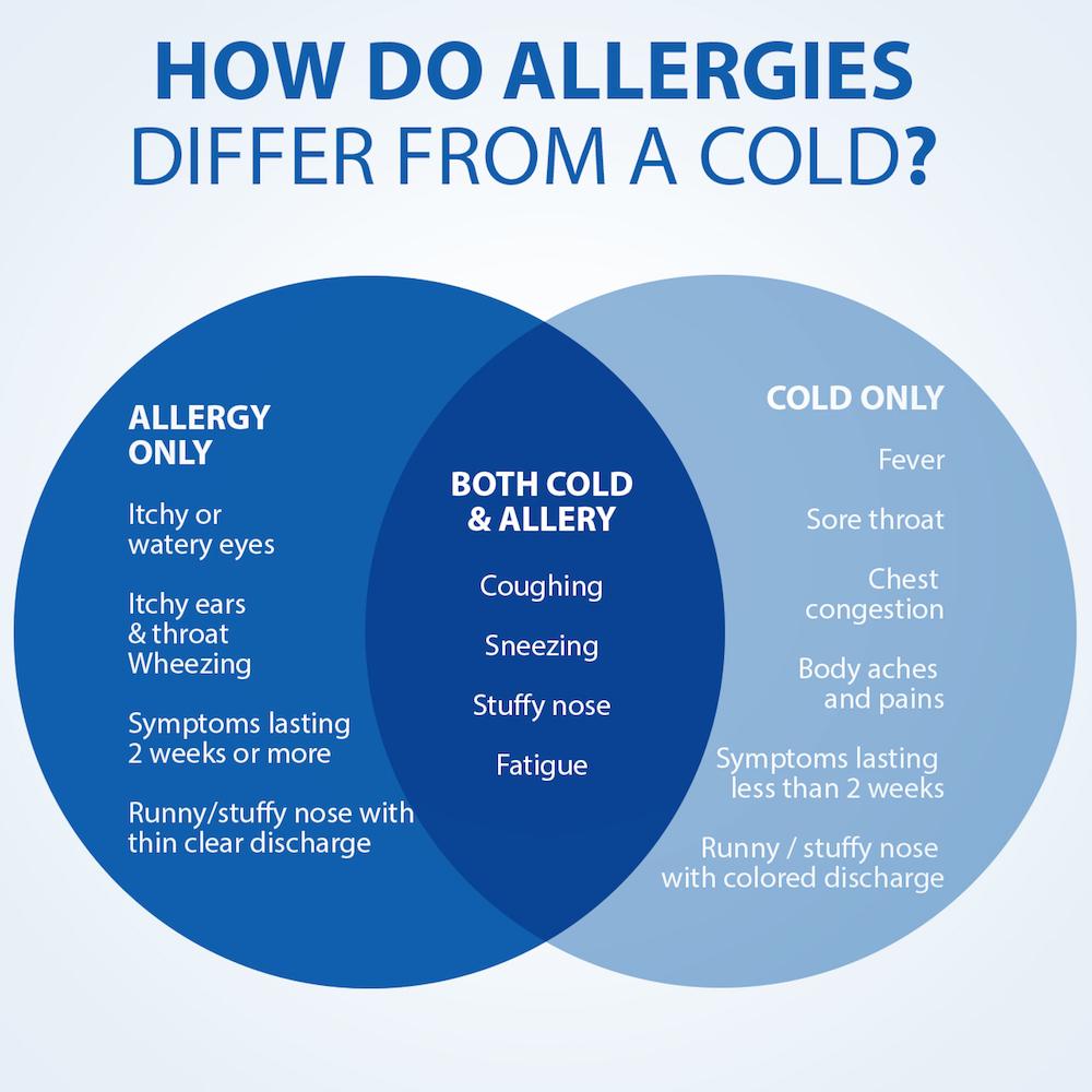 2024 Allergy Symptoms Lesly Myrilla