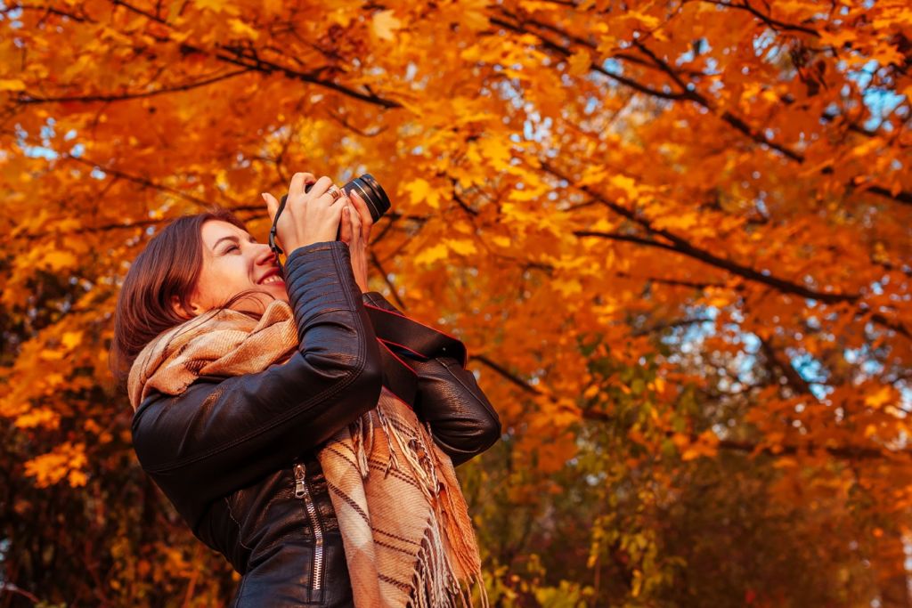 fall leaves photography