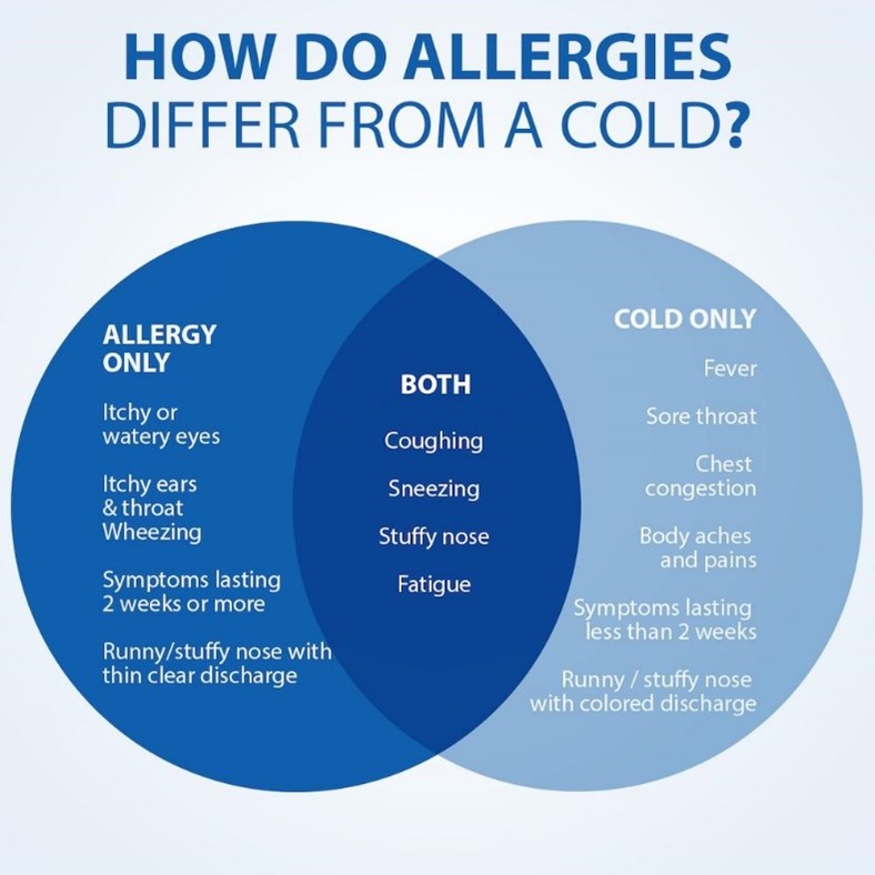 Allergy Season is Here How to Identify and Treat Your Symptoms